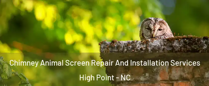Chimney Animal Screen Repair And Installation Services High Point - NC