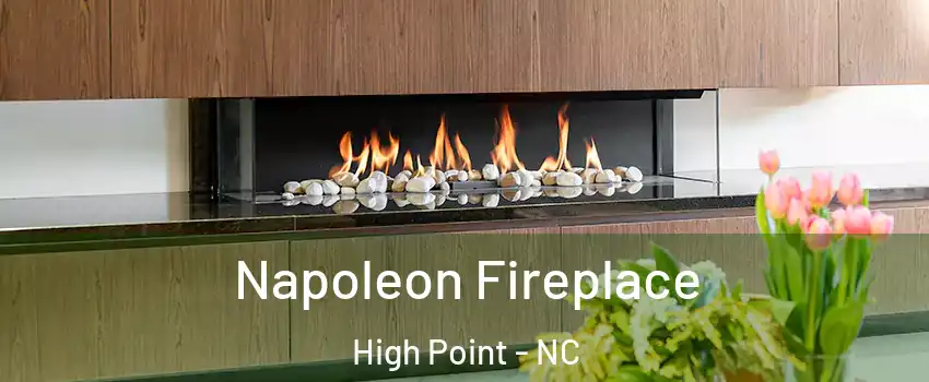 Napoleon Fireplace High Point - NC